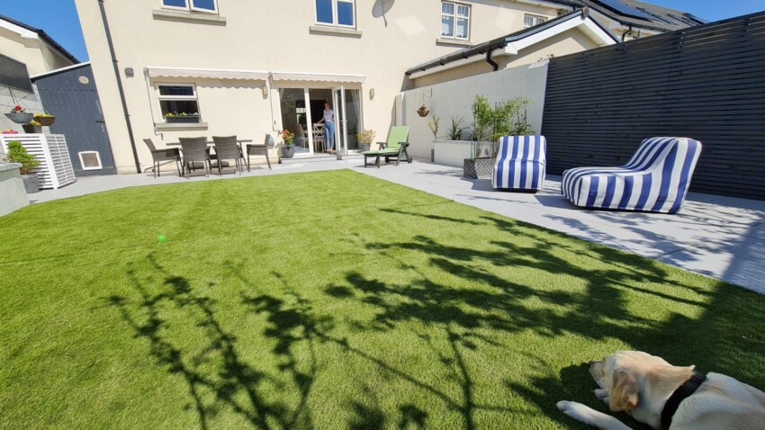 patio grass