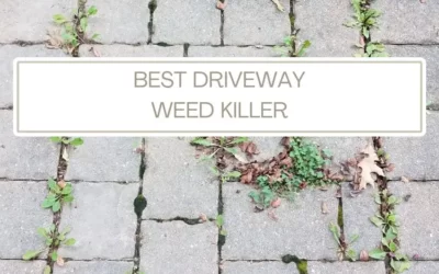 What is the best driveway weed killer?