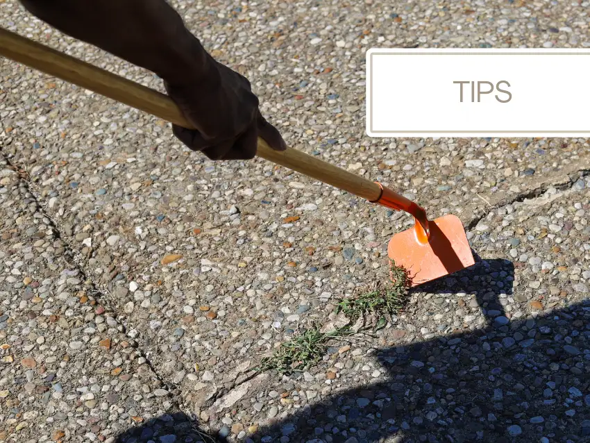 remove driveway weeds with tools