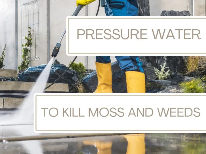 pressure washer to kill moss and weeds on your patio