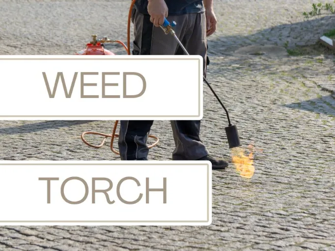 weed torch to kill moss and weed from patio