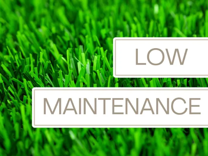 Artificial grass is low maintenance