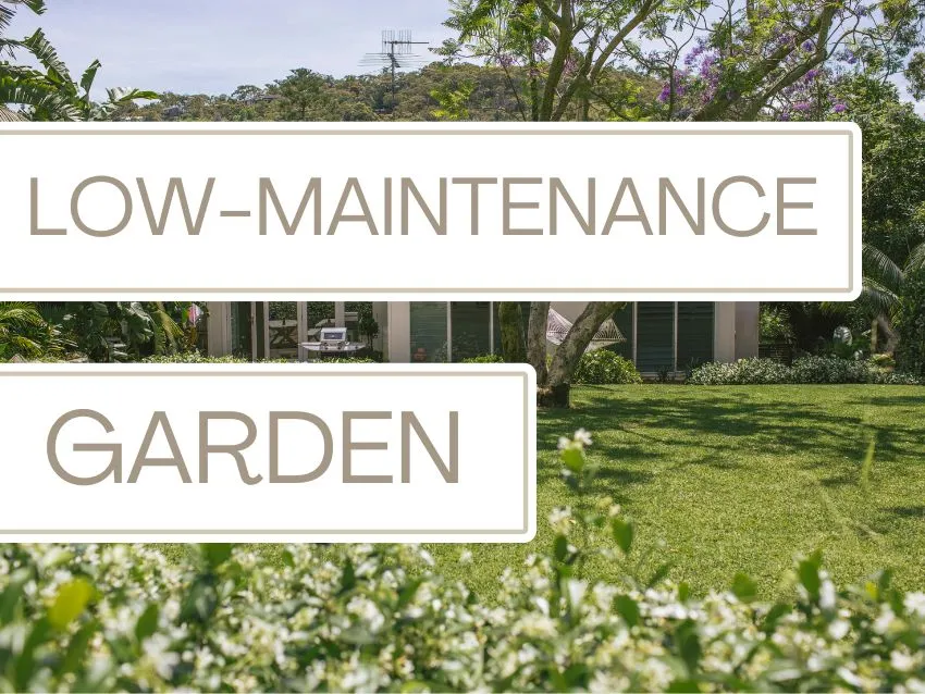 low maintenance garden